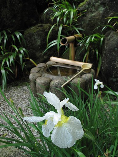 雨上がり