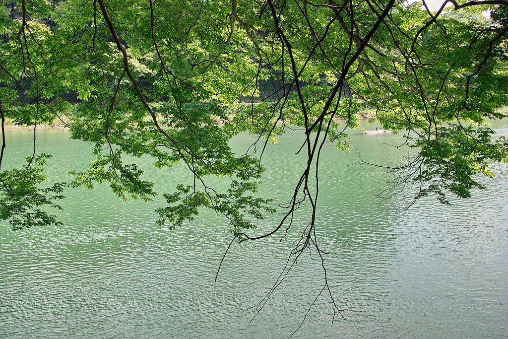 穏やかな景色