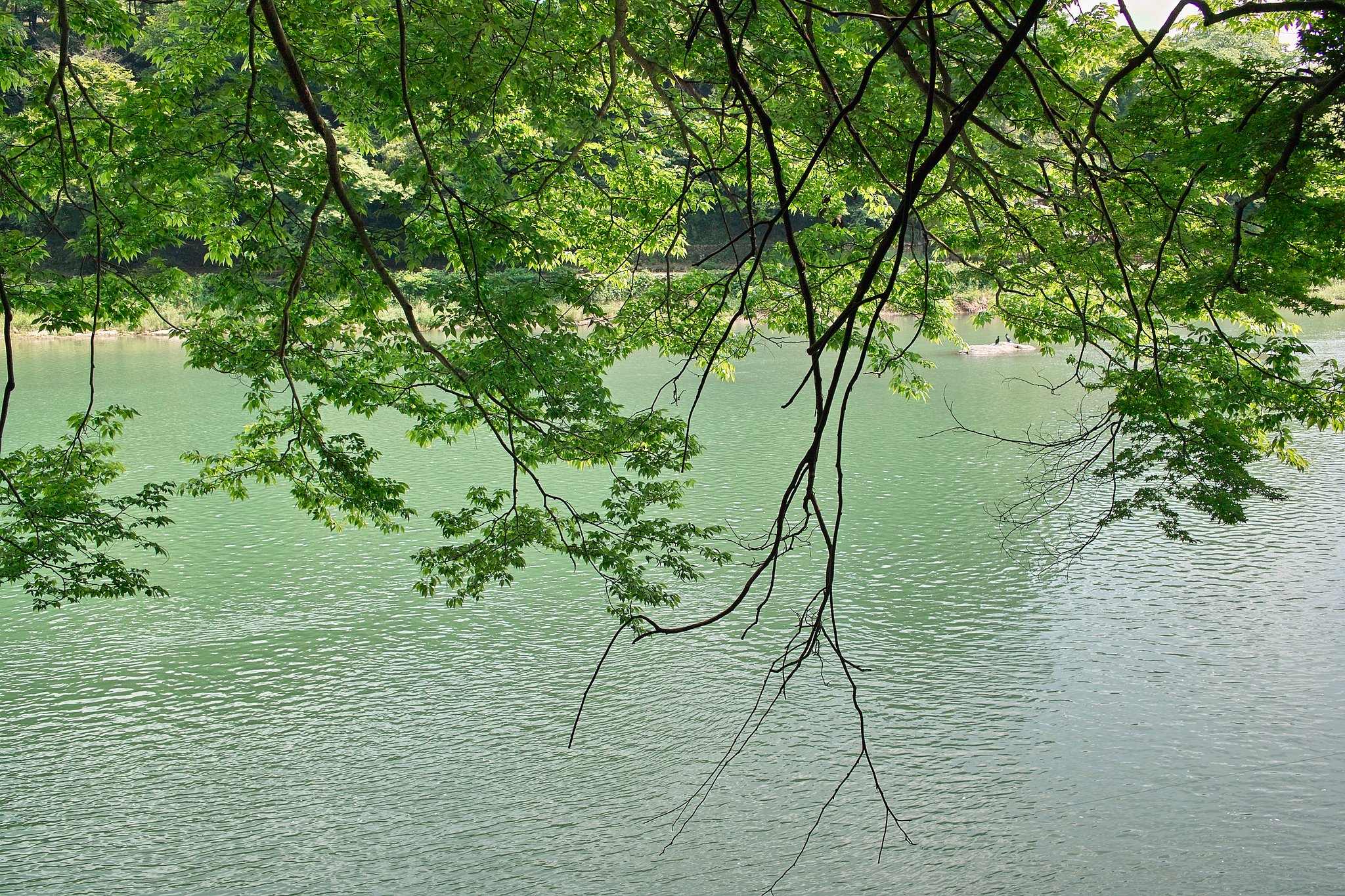 穏やかな景色
