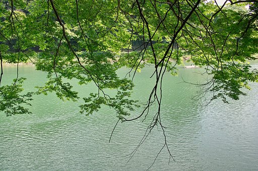 穏やかな景色