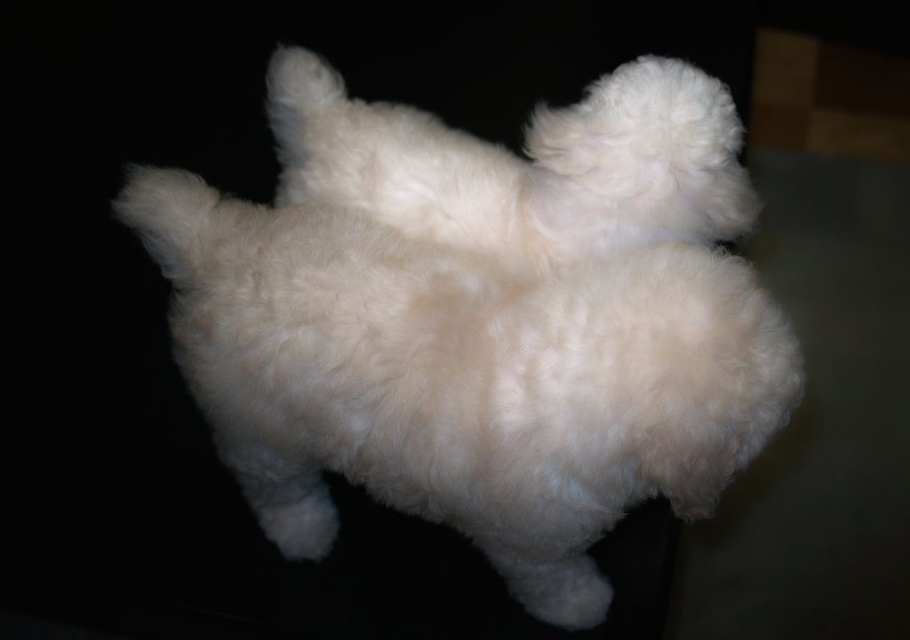 ふわふわぁ