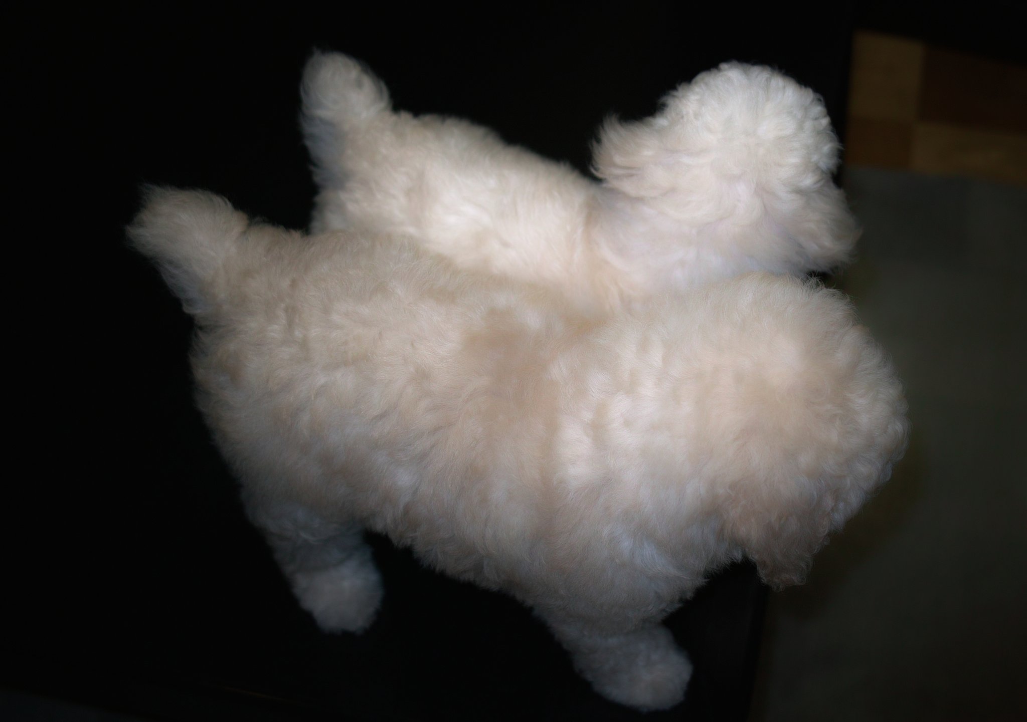 ふわふわぁ