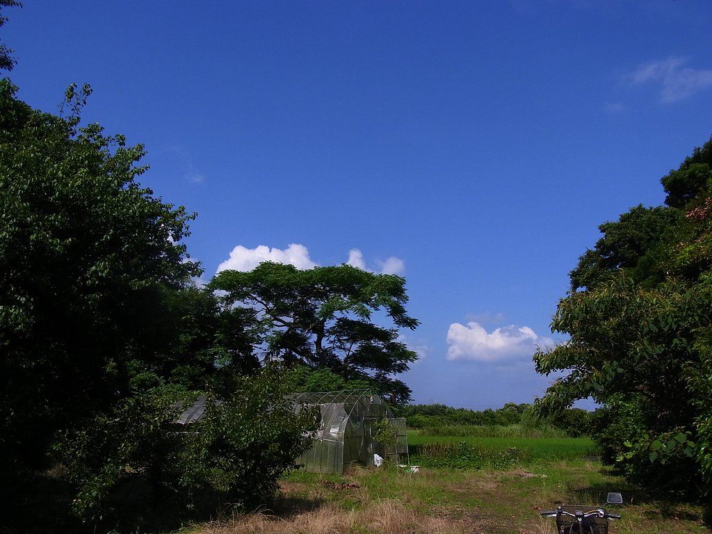梅雨の晴れ間の風景