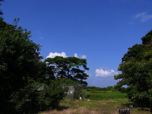 梅雨の晴れ間の風景