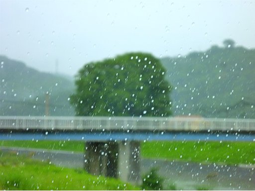 【生活の音】にわか雨