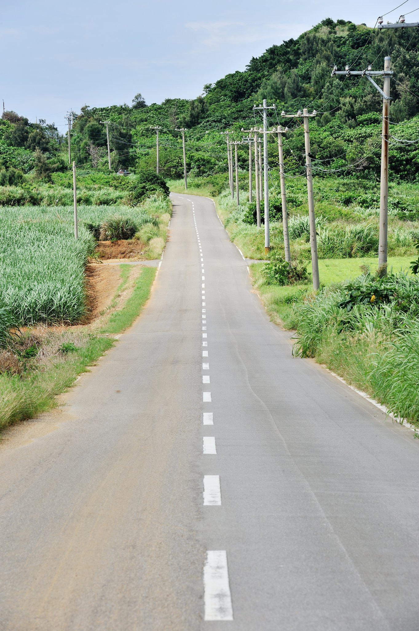 帰り道