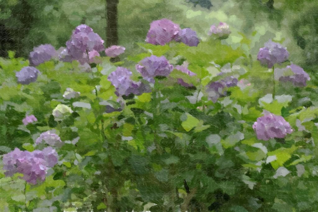 知り合ったばかりの画家に