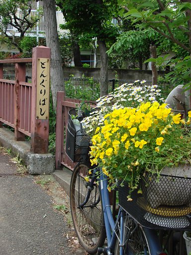 【生活の色】 廃品利用？
