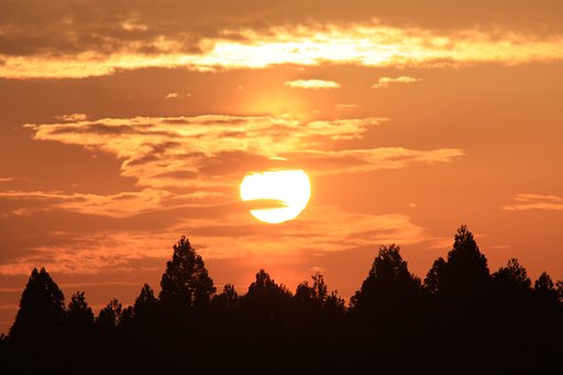 夕焼け