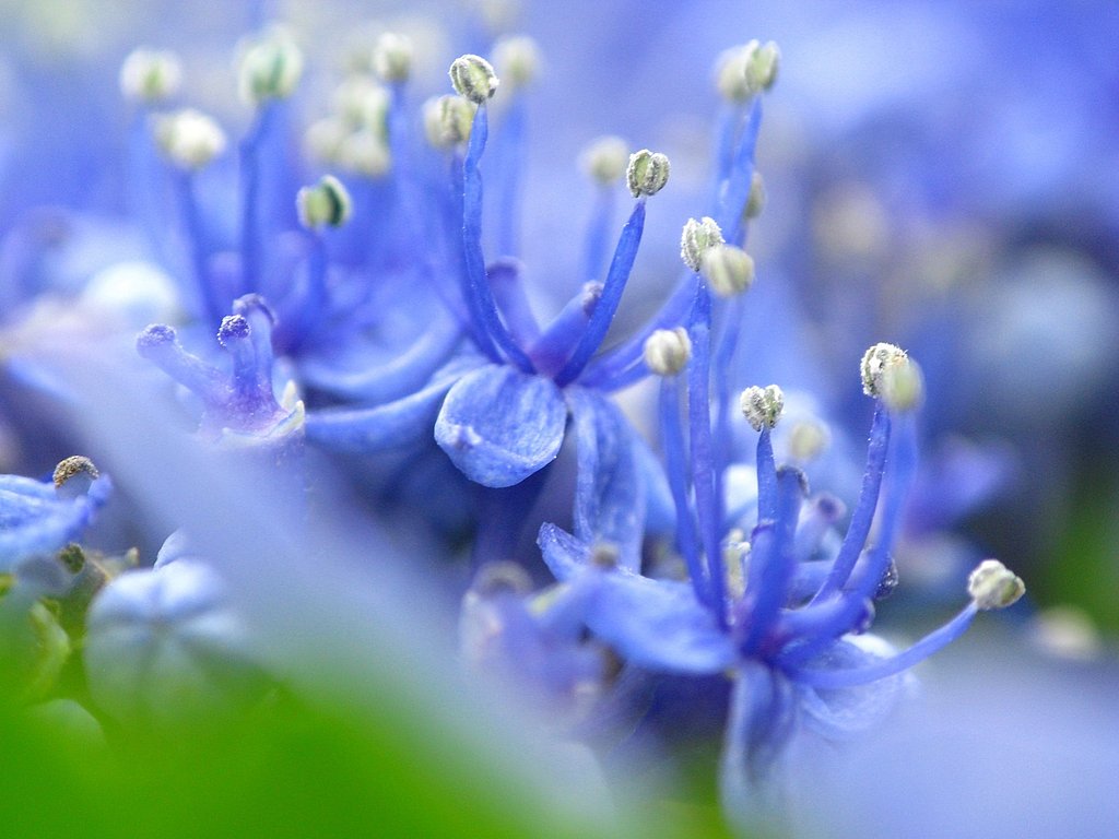 踊る