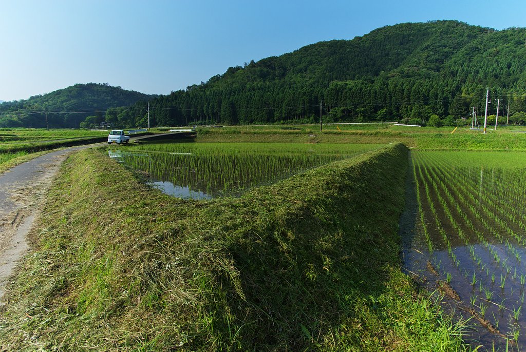 草刈後の田園風景