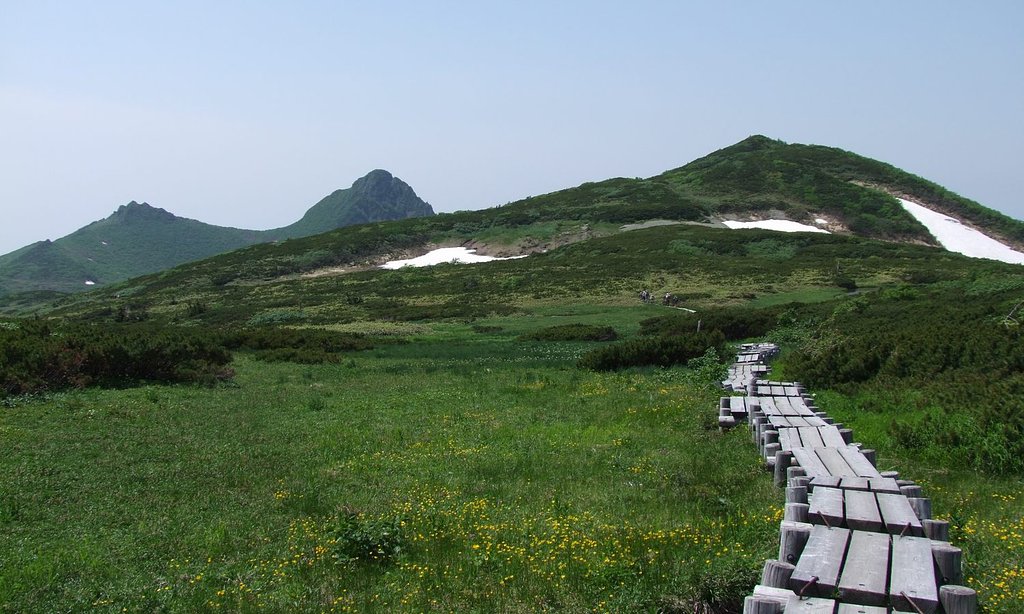 山上のお花畑