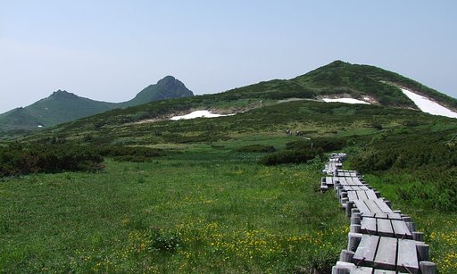 山上のお花畑