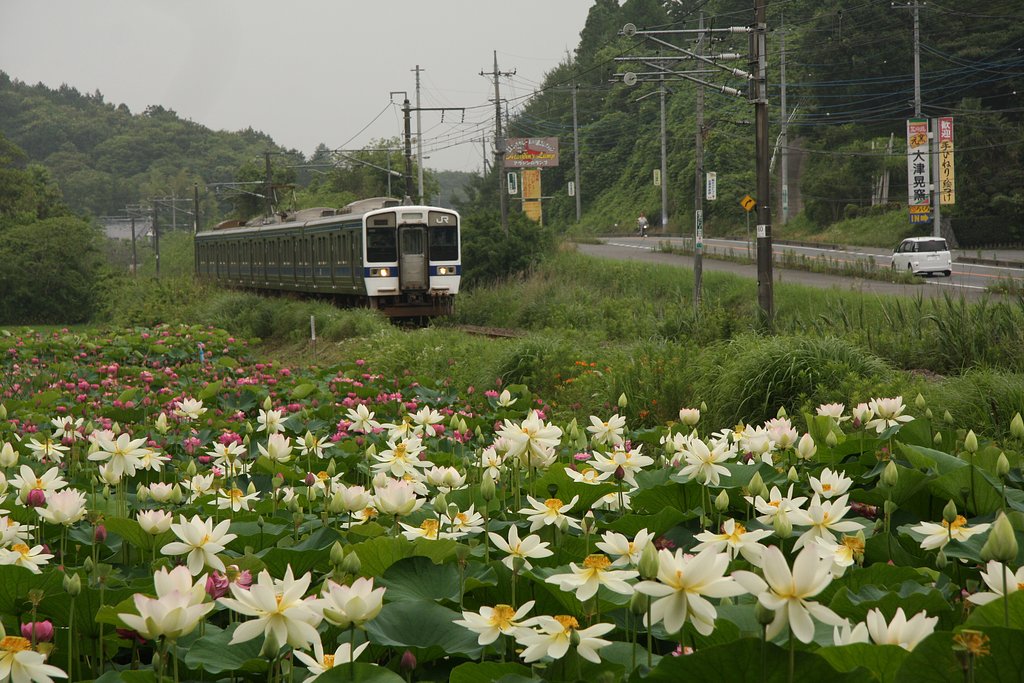 水戸線