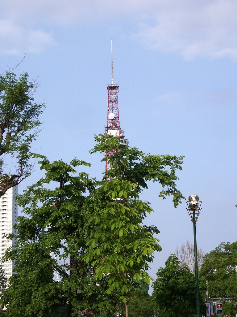 公園3