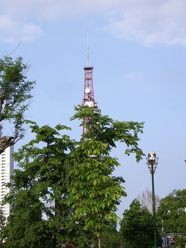 公園3