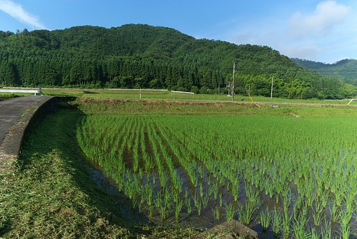 梅雨の晴れ間
