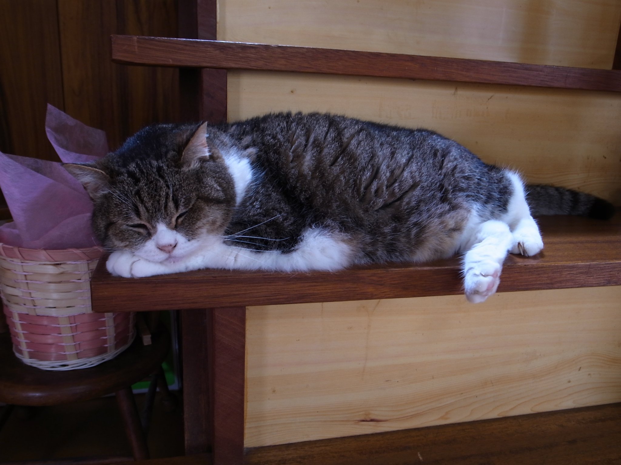 階段で居眠り