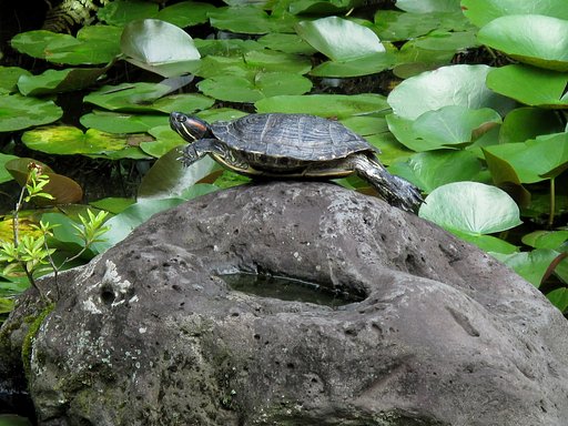 飛んでるつもり？
