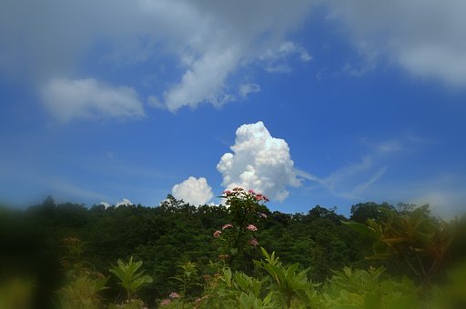 夏の風景を遊んじゃいました