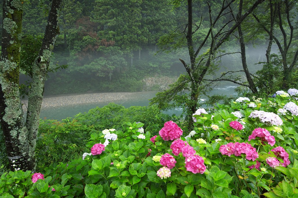 【夏の涼】山間の空気