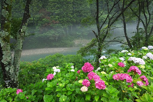 【夏の涼】山間の空気