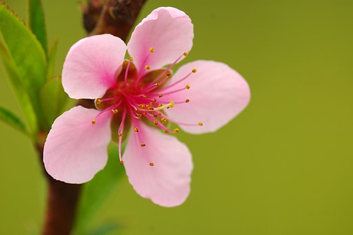 meteさんへ、SIGMA 300mm