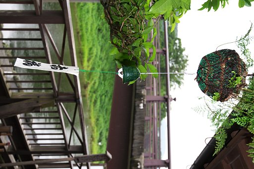 【夏の涼】赤福本店にて