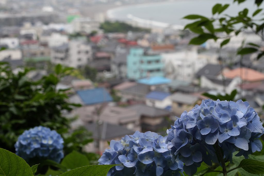 紫陽花の似合う街