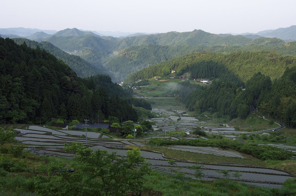 棚田の朝