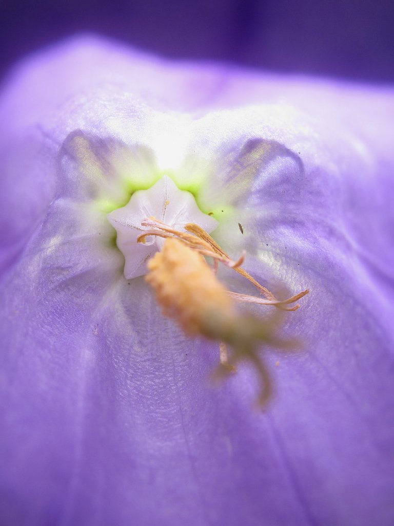 アップに耐えて