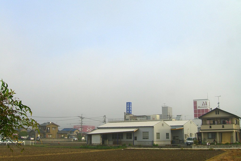 定点観測−朝