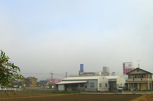 定点観測−朝