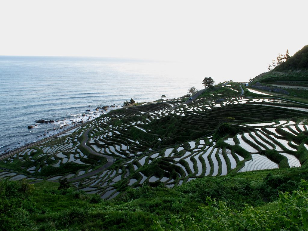 能登半島・白米千枚田