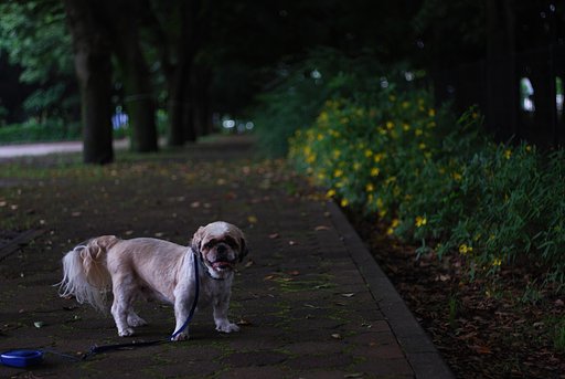 梅雨の合間に・・・