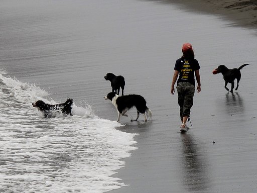 湘南海岸の散歩