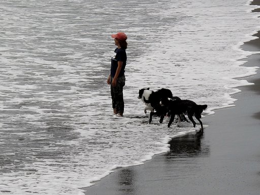 [生活の音]湘南海岸の風
