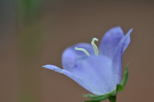 7月12日の写真