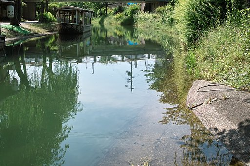 【夏の涼】 京都伏見