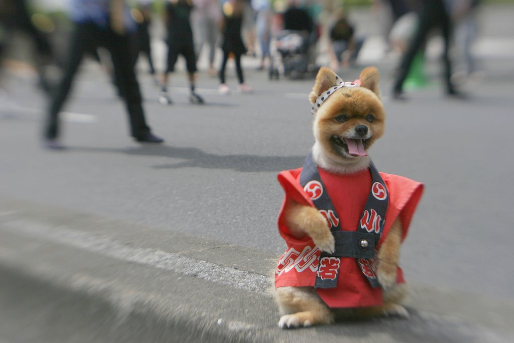 大江戸舞祭２００５