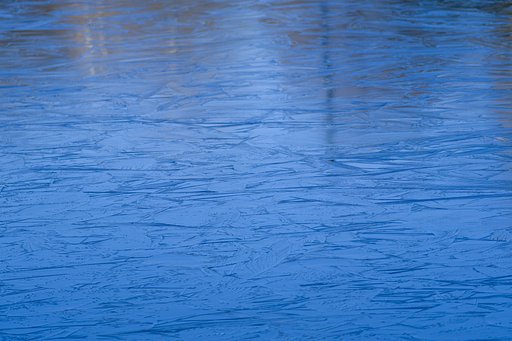 ボート池氷結