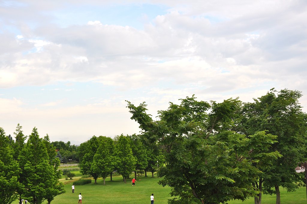 公園4