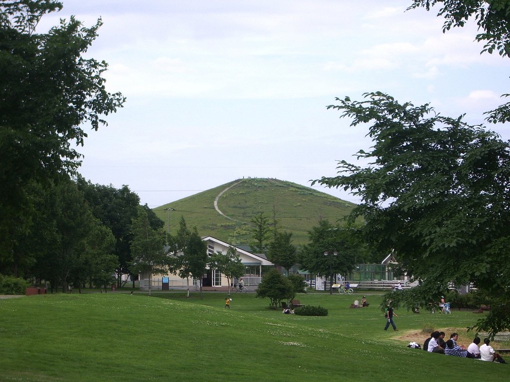 公園5