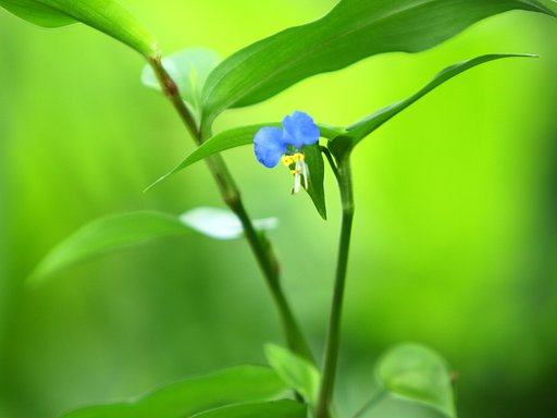 7月15日の写真