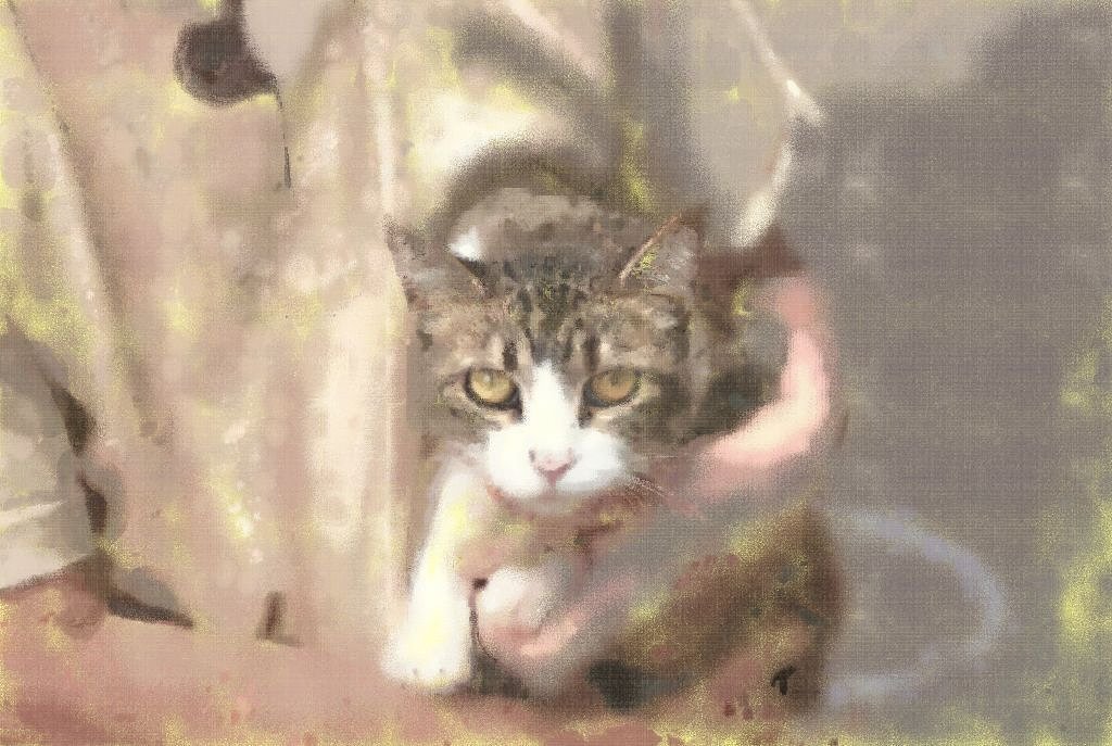 リンちゃんです