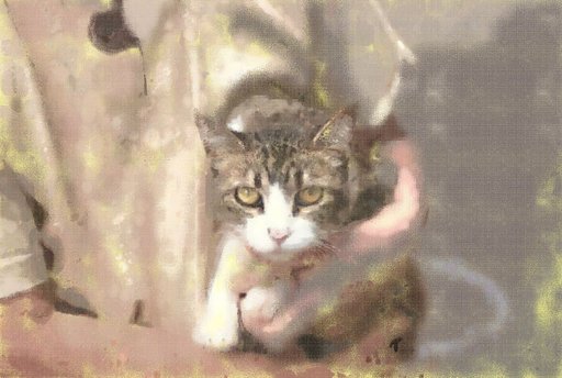リンちゃんです
