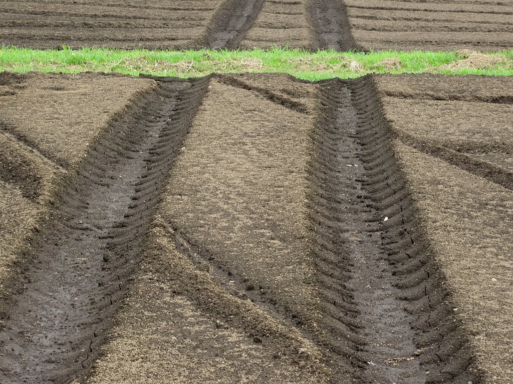 トラクターと畑道