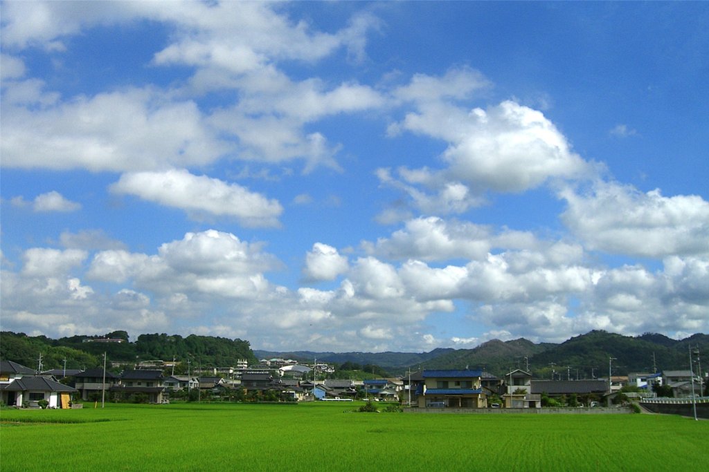 朝から夏空