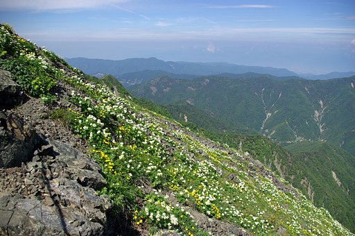 【夏の涼】 天空のお花畑