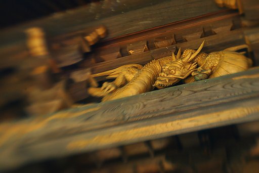 龍